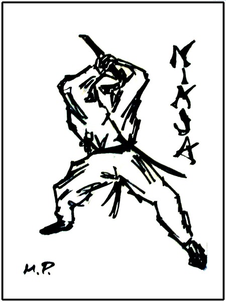 ninja