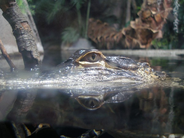 I got my eye on you!