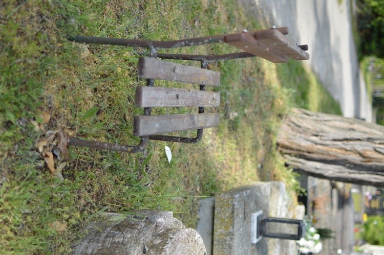 DSC 0101