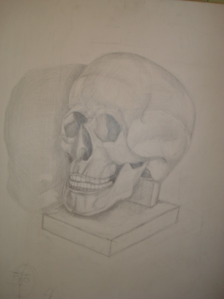 skull