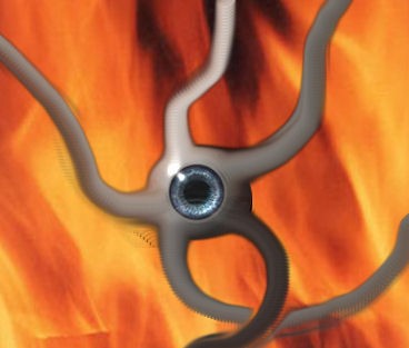 Flame Eye