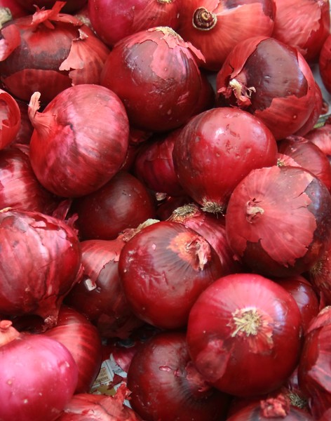 Onion Patch