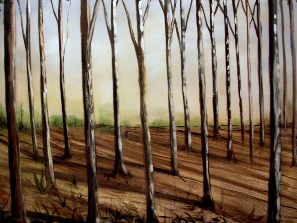 trees