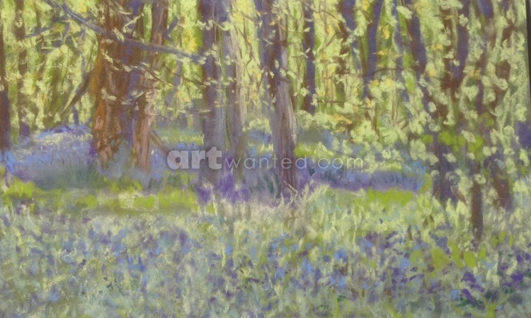 The Bluebell Wood