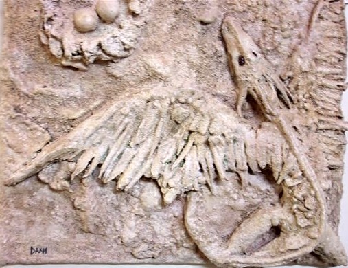 FOSSIL RECORD
