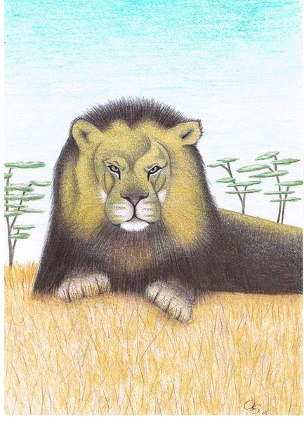 The Mighty Lion