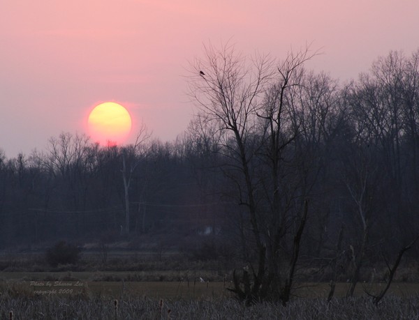 Wetlands Sunset
