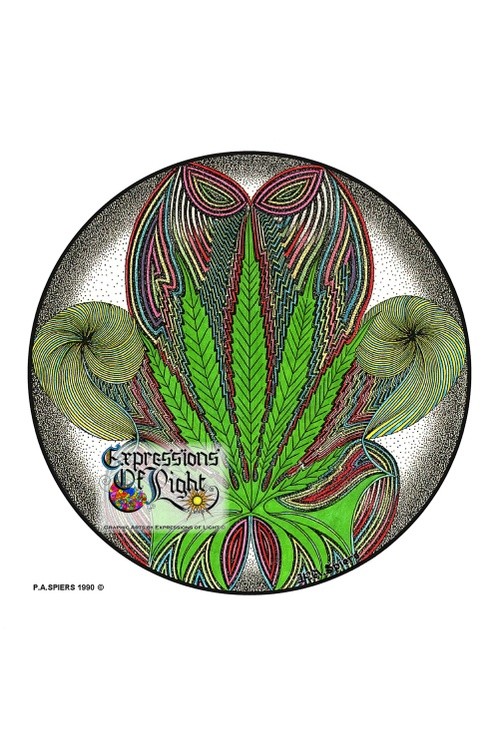 ExpoLight-Graphic-Arts-Cannabis-Orb-1990-0001 (Pen-&-Ink-Coloured-SP)