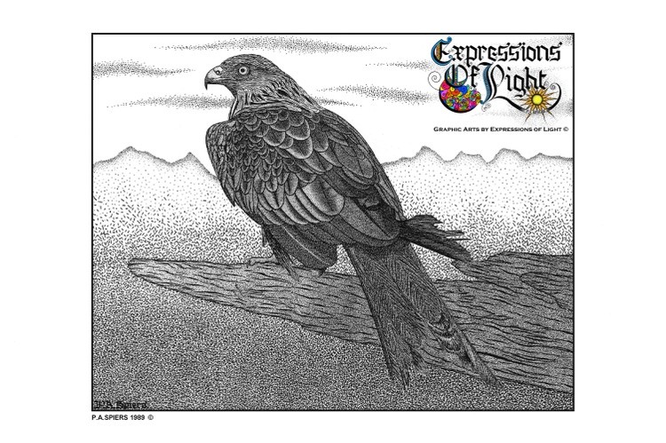 ExpoLight-Graphic-Arts-Red-Kite-Eagle-1989-0001 (Pen-&-Ink-Mono-SP)