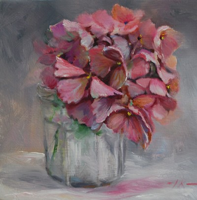 Hydrangea