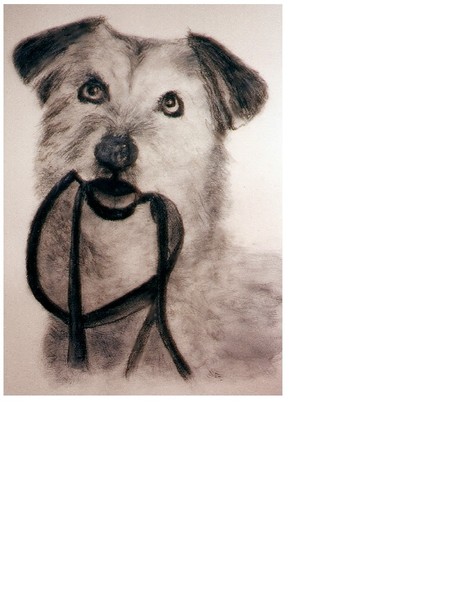 'Charlie'