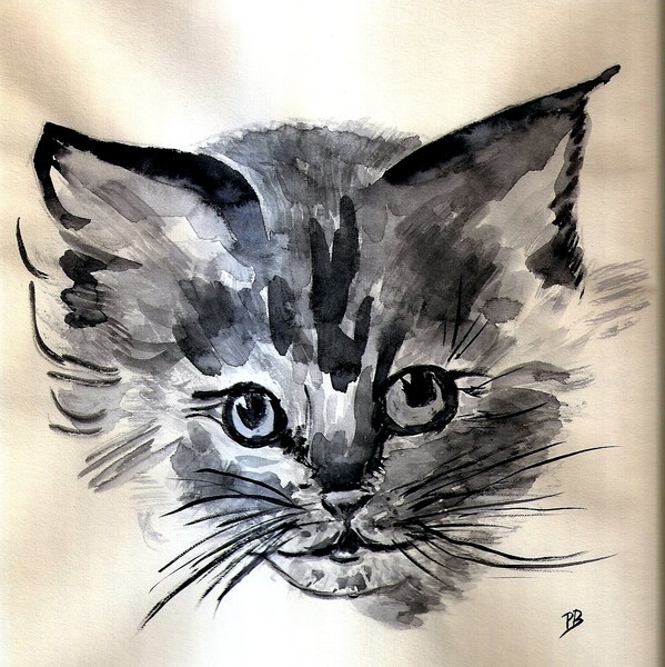 Happy Cat