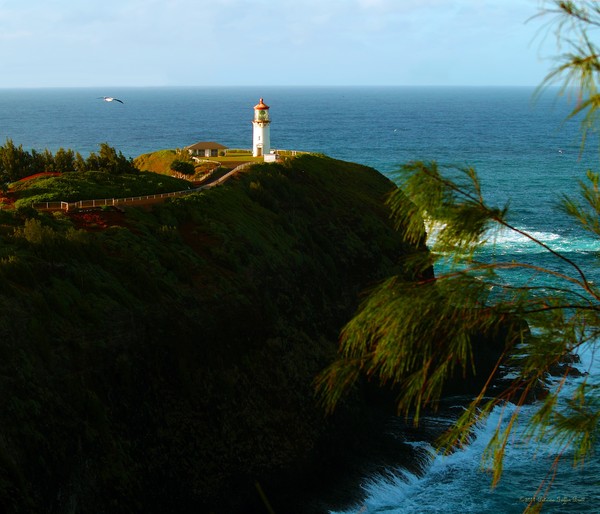 Kilauea Lighthouse 1- fine art photographic print