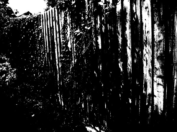 Living fence