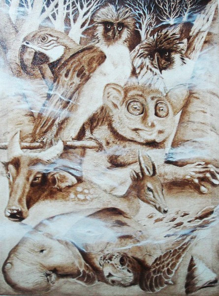 SOS!Vanishing Species!