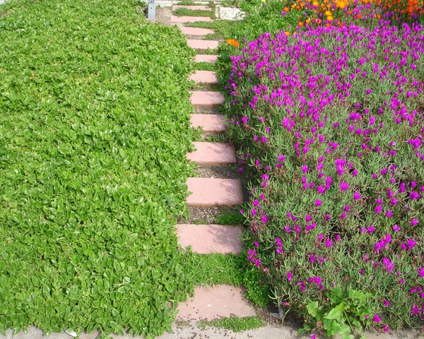 turf_12
