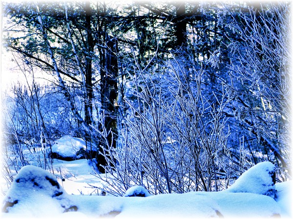 Natures Touch