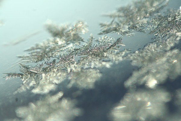 Frost