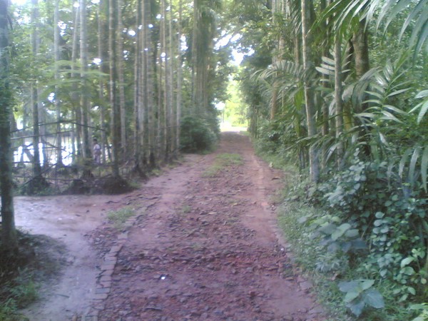 Path To Soul