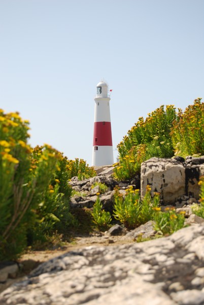 Lighthouse