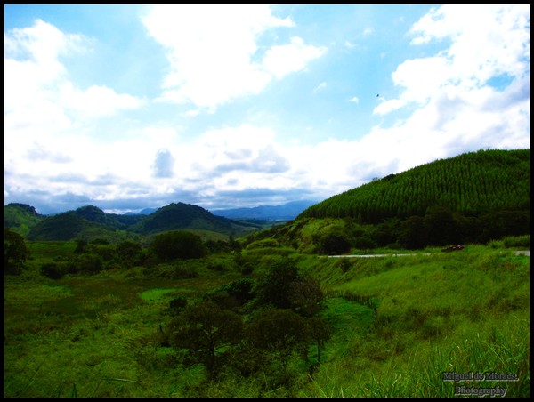 Muriaé.