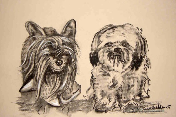 Pat's Pets A Portrait of pets by Lisabelle 2007