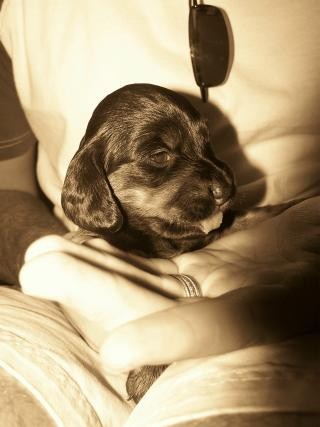 New Life