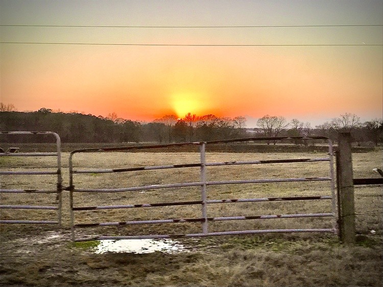 Gate at Sunset 