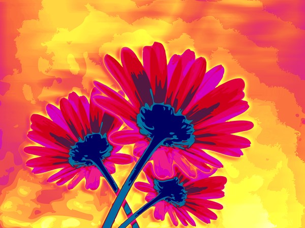My Funky Flowers