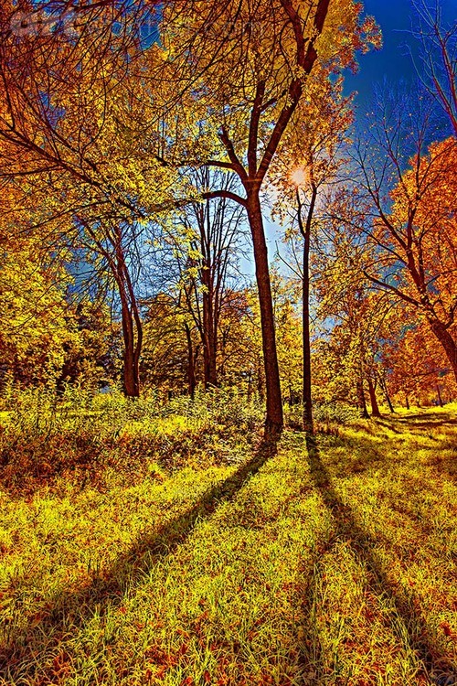 Magic Light