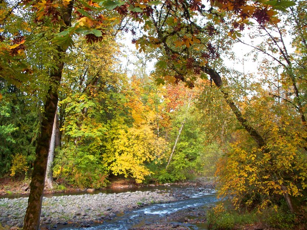 Larwood Wayside Series ~ # 14