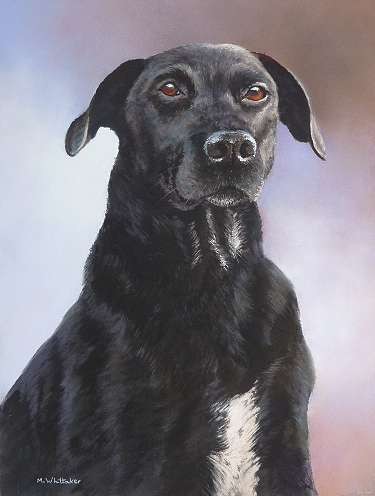 Portrait Of Max