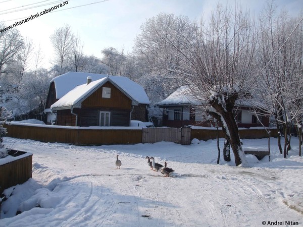 Winter at the country
