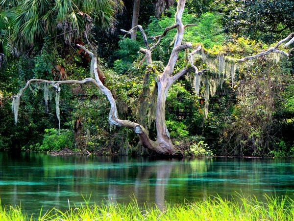 Emerald Paradise