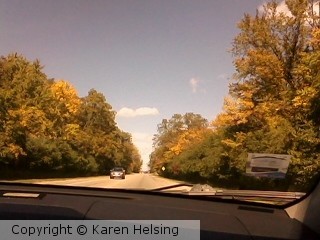 Autumn Colors 1