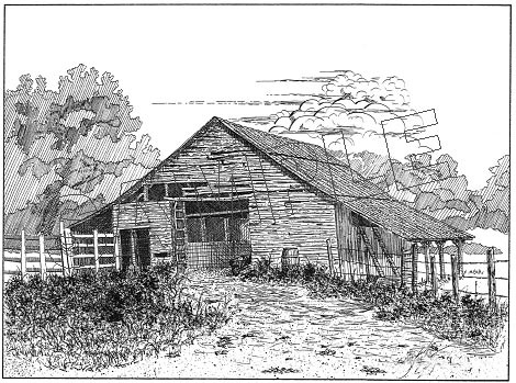 Out at the Barn