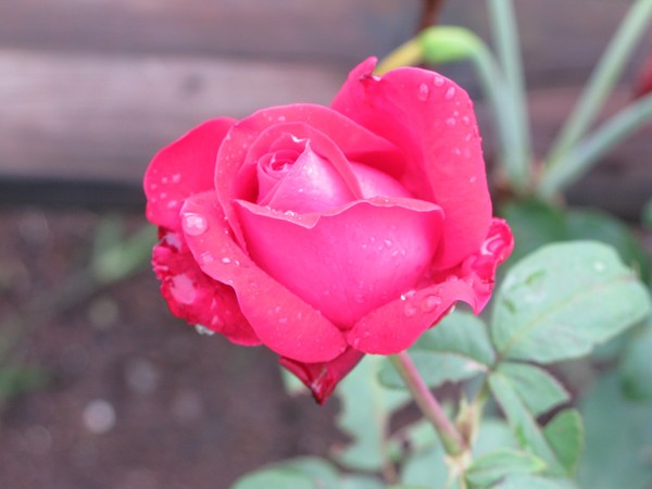 IMG 0675 resize