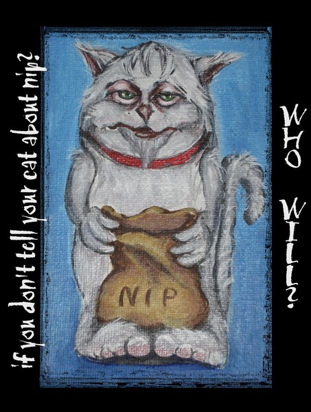Catnip