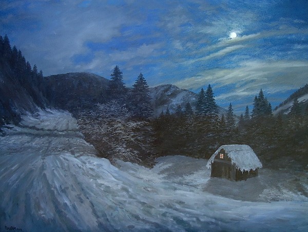 A WINTER VIEW AT NIGHT 