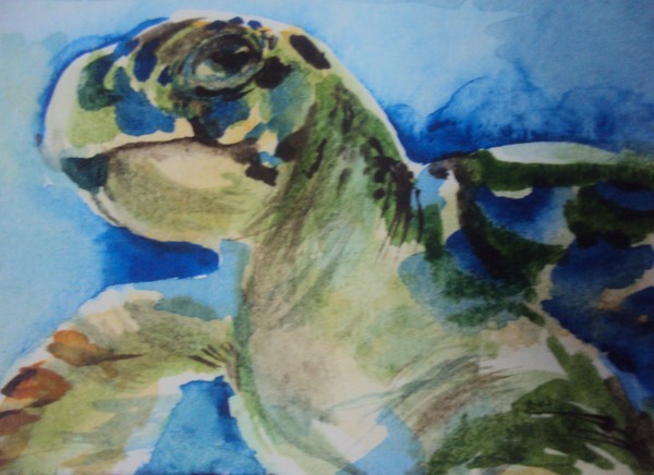ACEO original art watercolor turtle miniature
