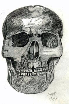 skull