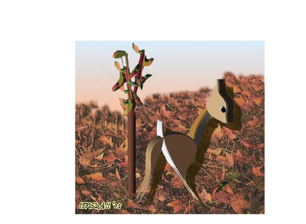 White Tail Deer
