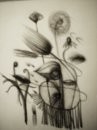 natura1