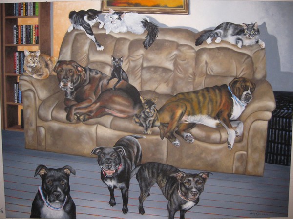 5 dogs-6 cats