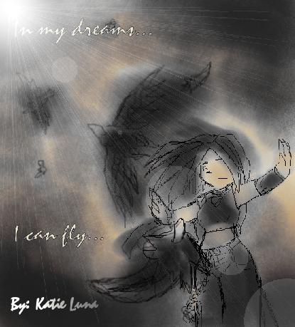 In my dreams I can fly....