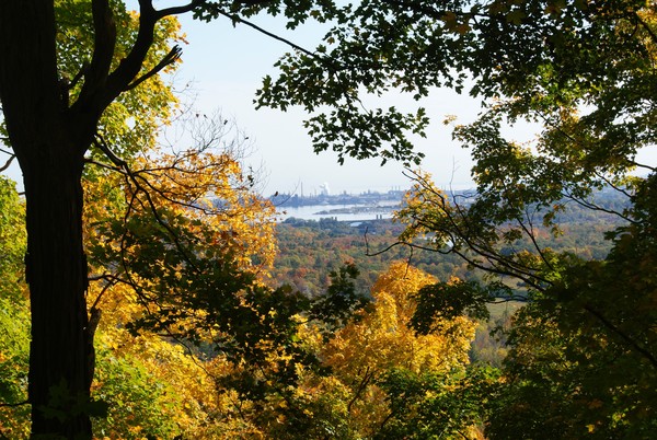 A View From The Escarpment Trail