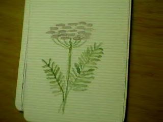 divination card 3