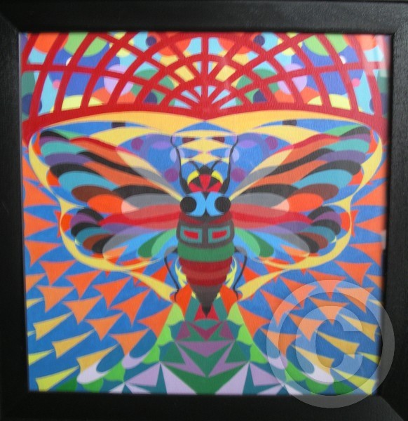 Cicada
