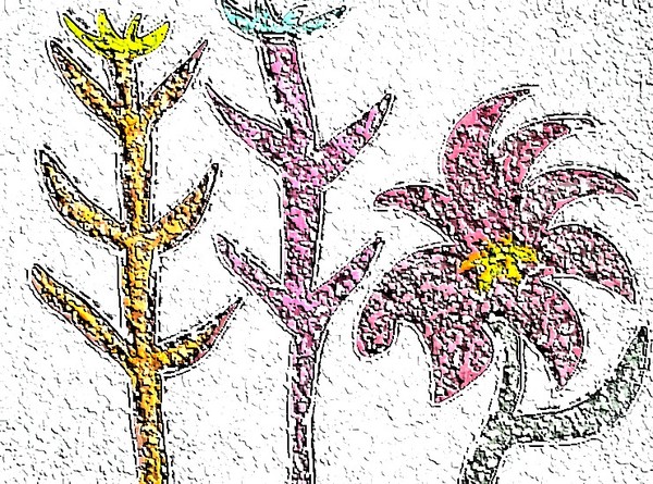 Fleurs 042