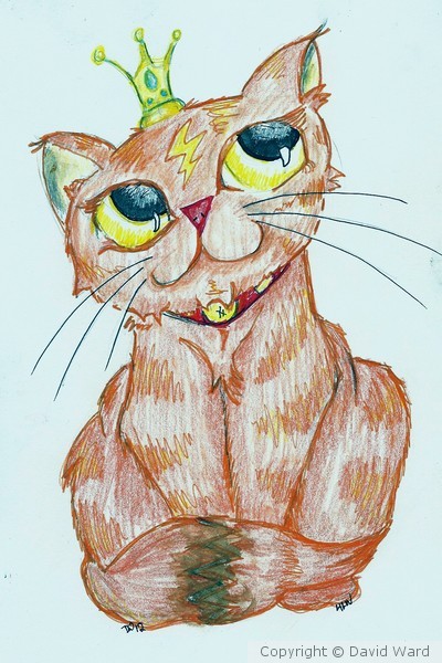 Princess Kitty
